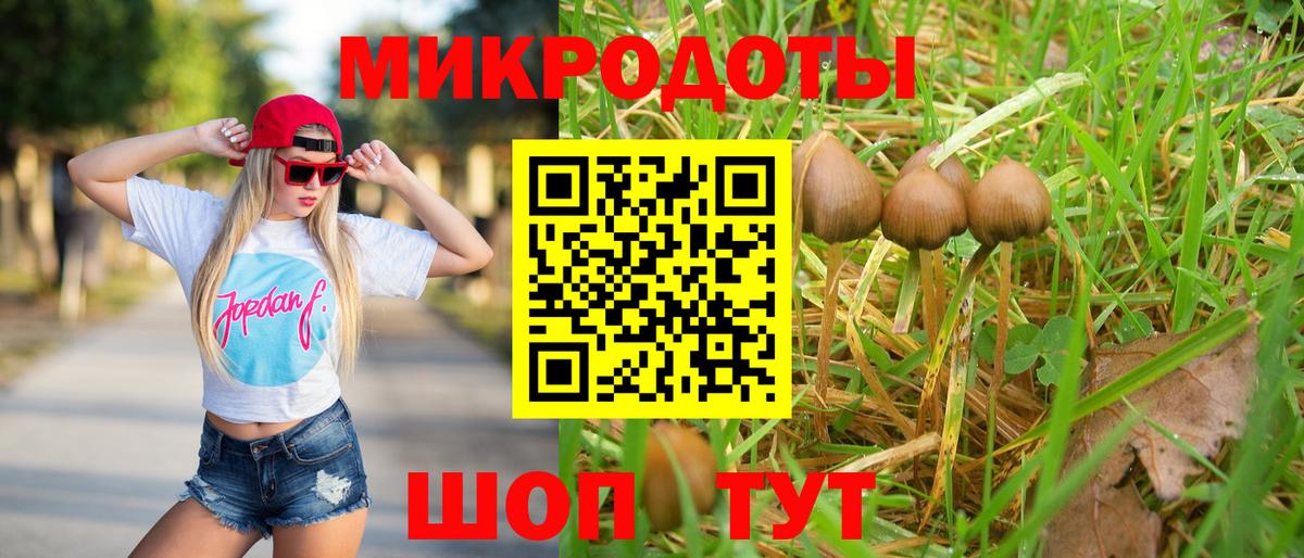 Будённовск  Галлюциногенные грибы Magic Shrooms  Вход с VPN 