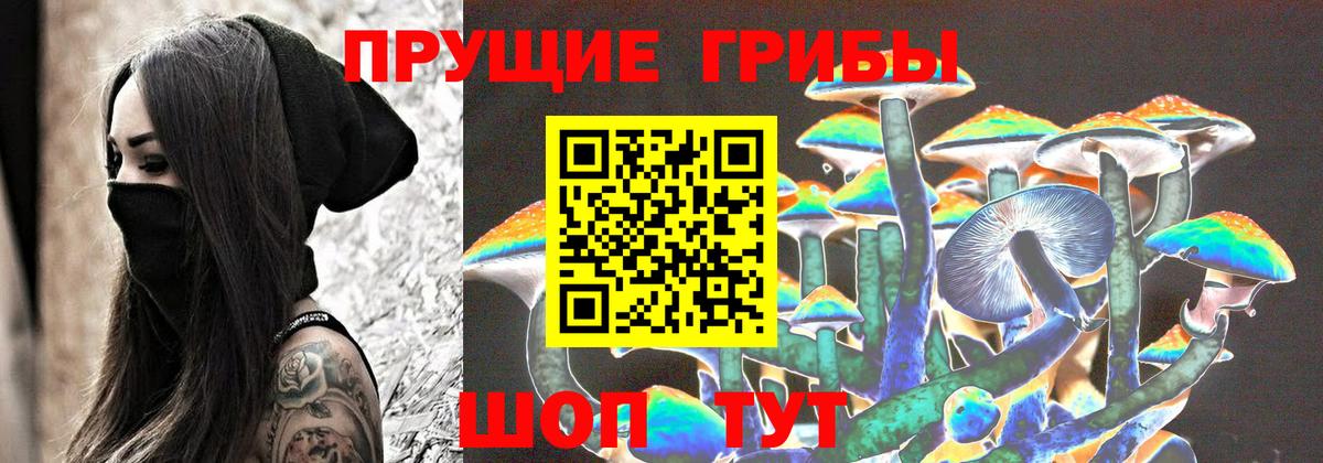 Галлюциногенные грибы GOLDEN TEACHER Будённовск